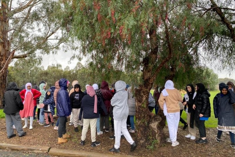 Year 5 and 6 Girls Camp Kookaburra